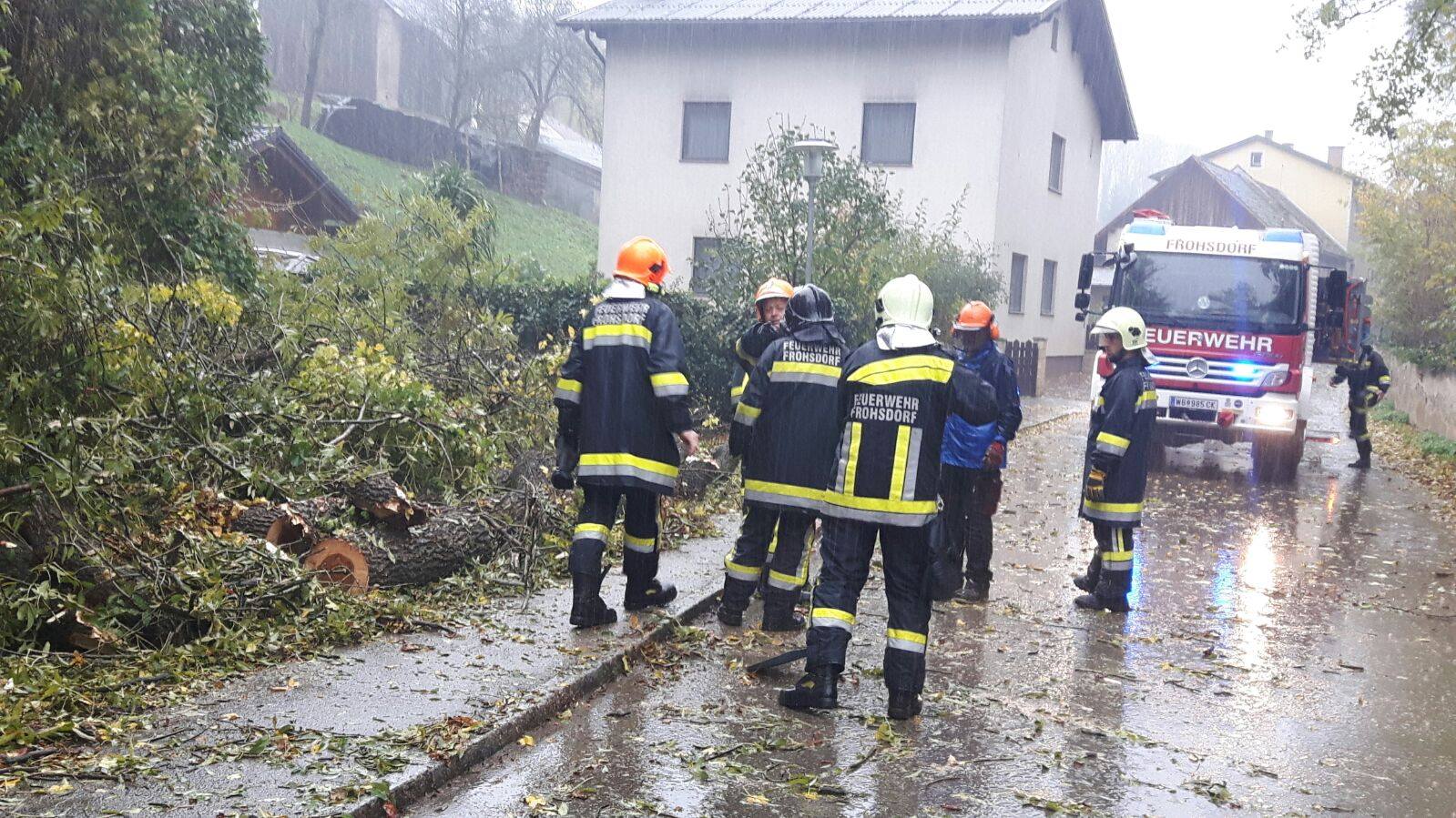 Baum über Straße