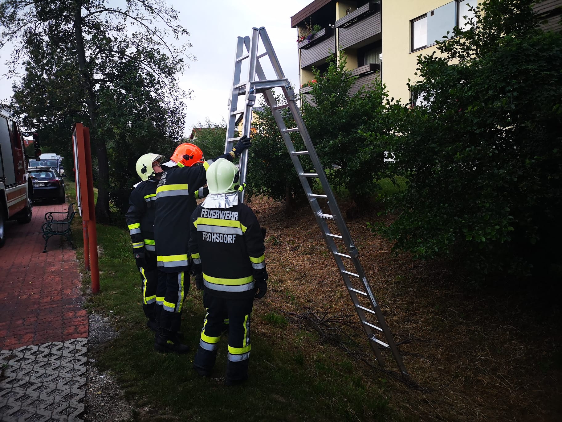 Übung Leitern und Steig