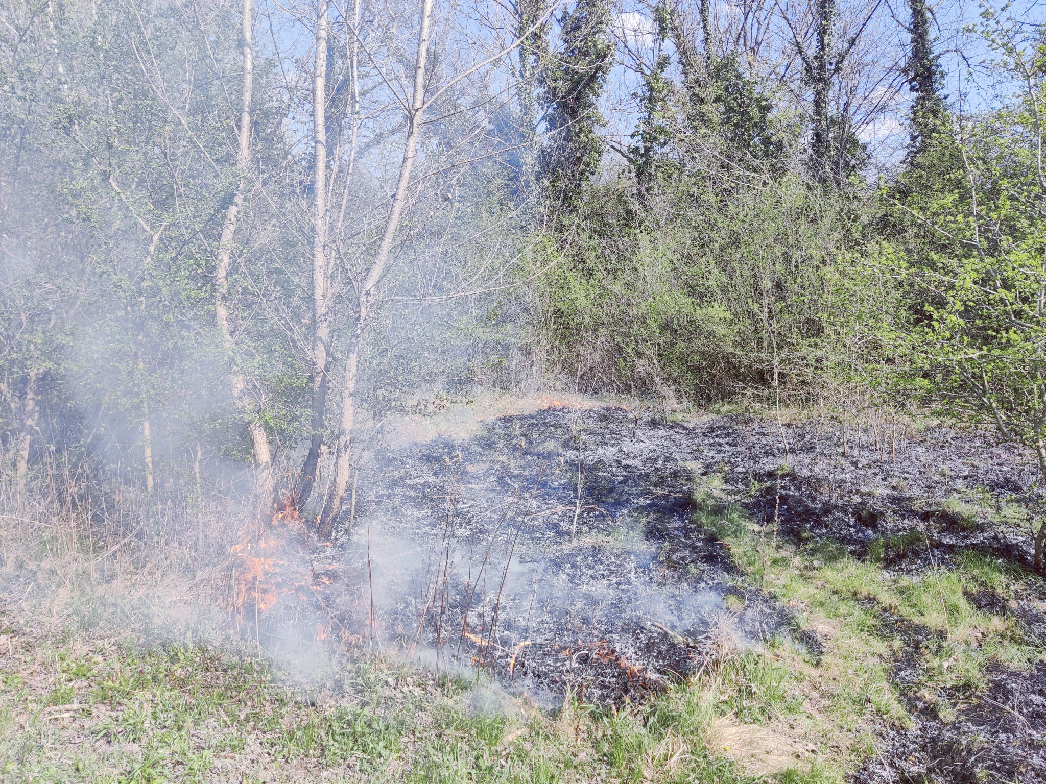 Flurbrand in der Leitha AU