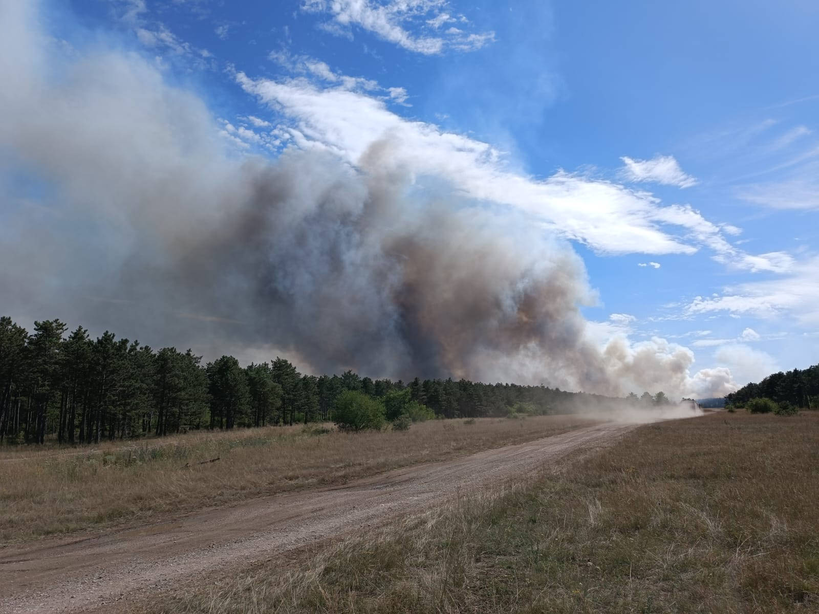 WALD- & FLURBRAND IN GROSSMITTEL