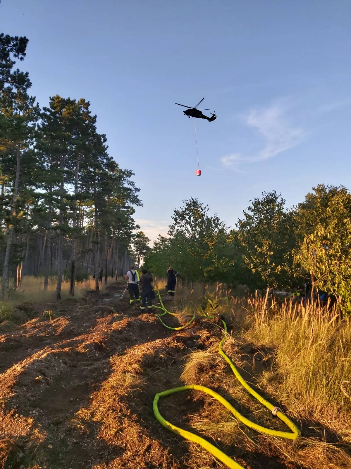 WALD- & FLURBRAND IN GROSSMITTEL