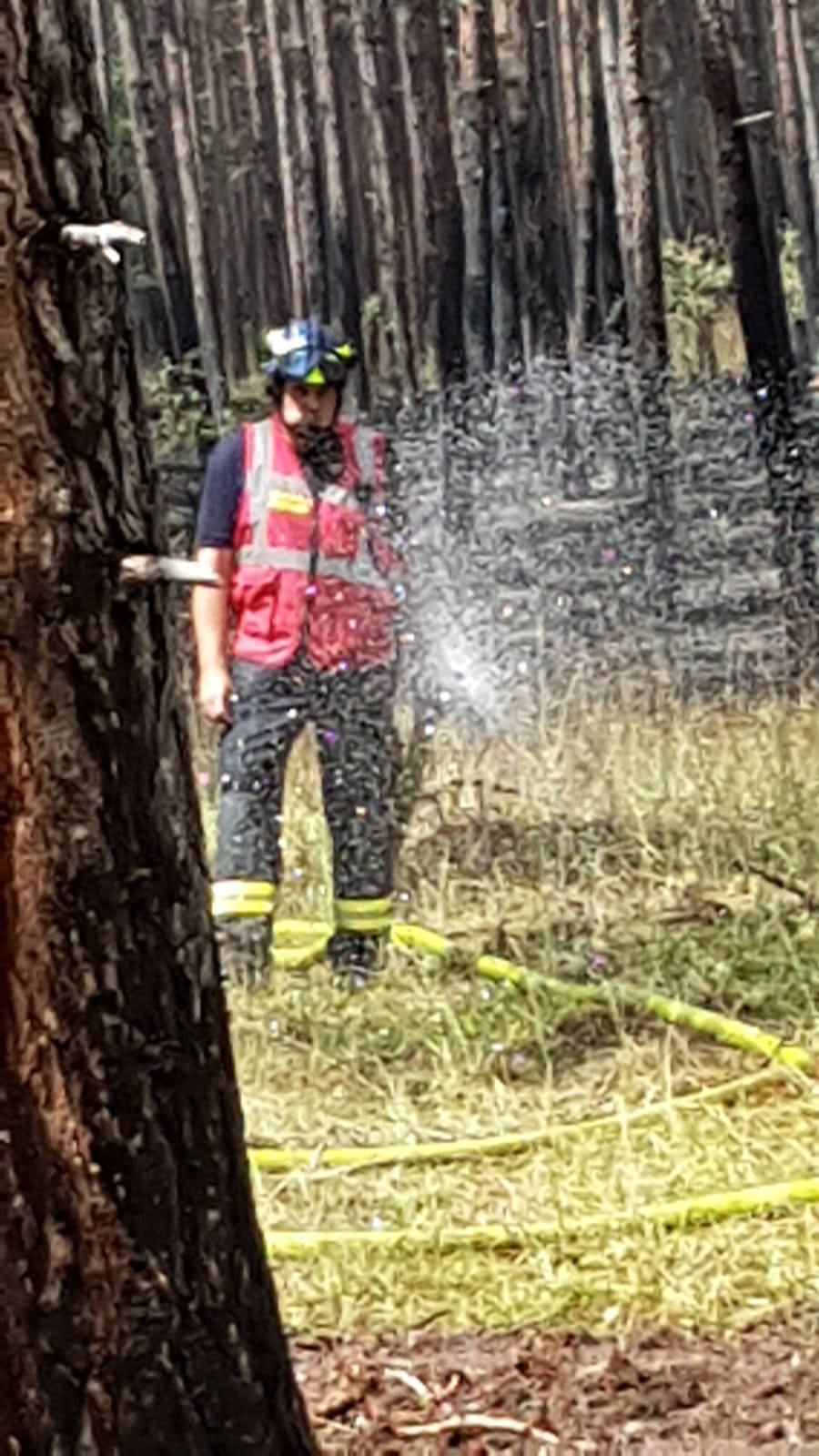 WALD- & FLURBRAND IN GROSSMITTEL