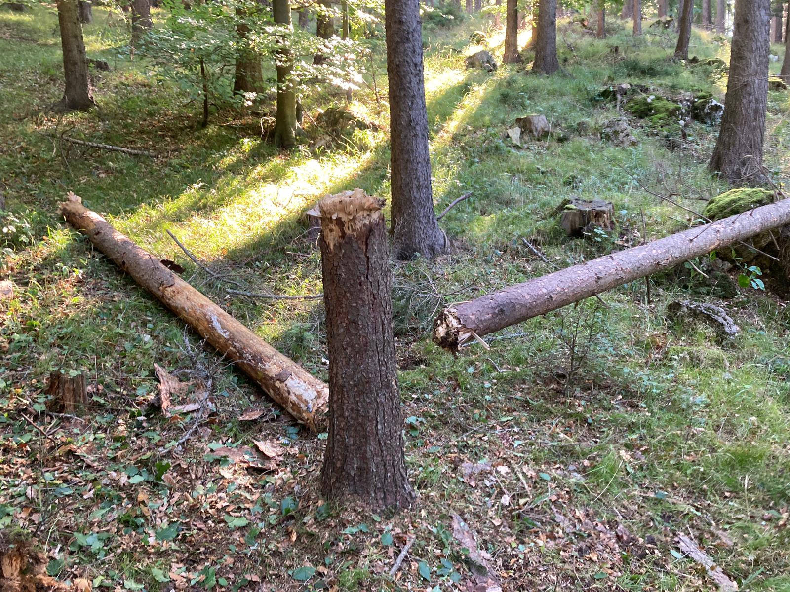 Sprengübung Hohe Wand