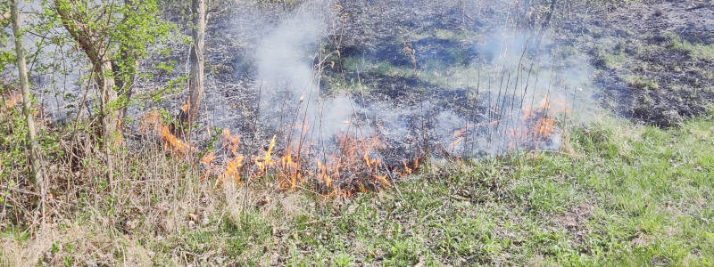 Flurbrand in der Leitha AU