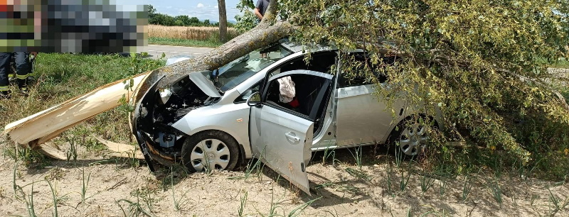 PKW gegen Baum 