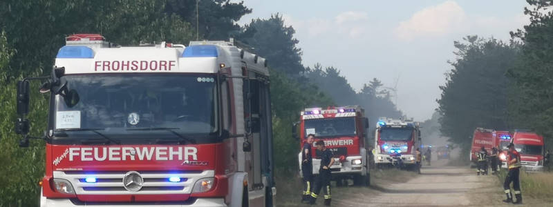 WALD- & FLURBRAND IN GROSSMITTEL