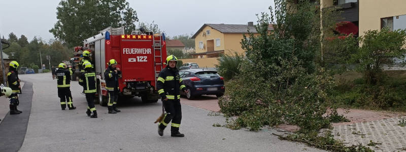 Sturmschaden vor Feuerwehrhaus