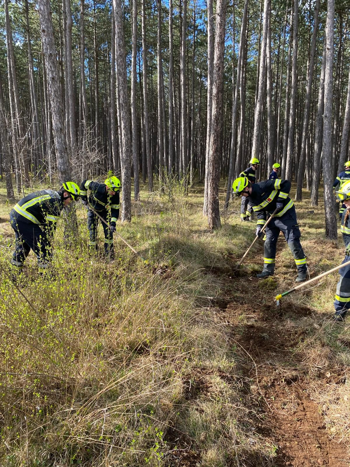 Wald und Flurbrandbekämpfung