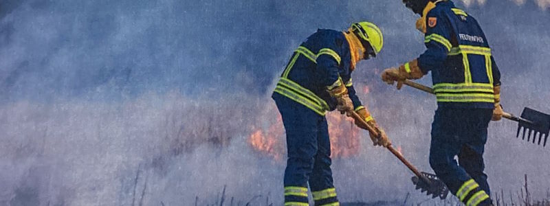 Ausbilderleitfaden für Wald und Flurbrandbekämpfung