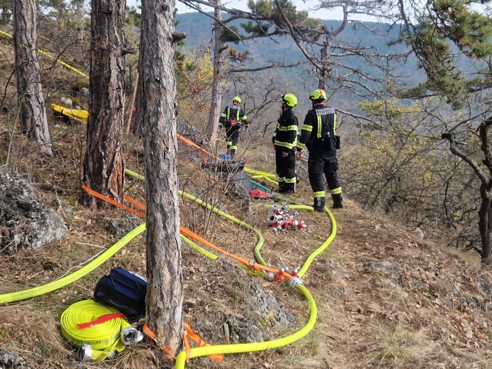 Waldbrandübung in Weikersdorf