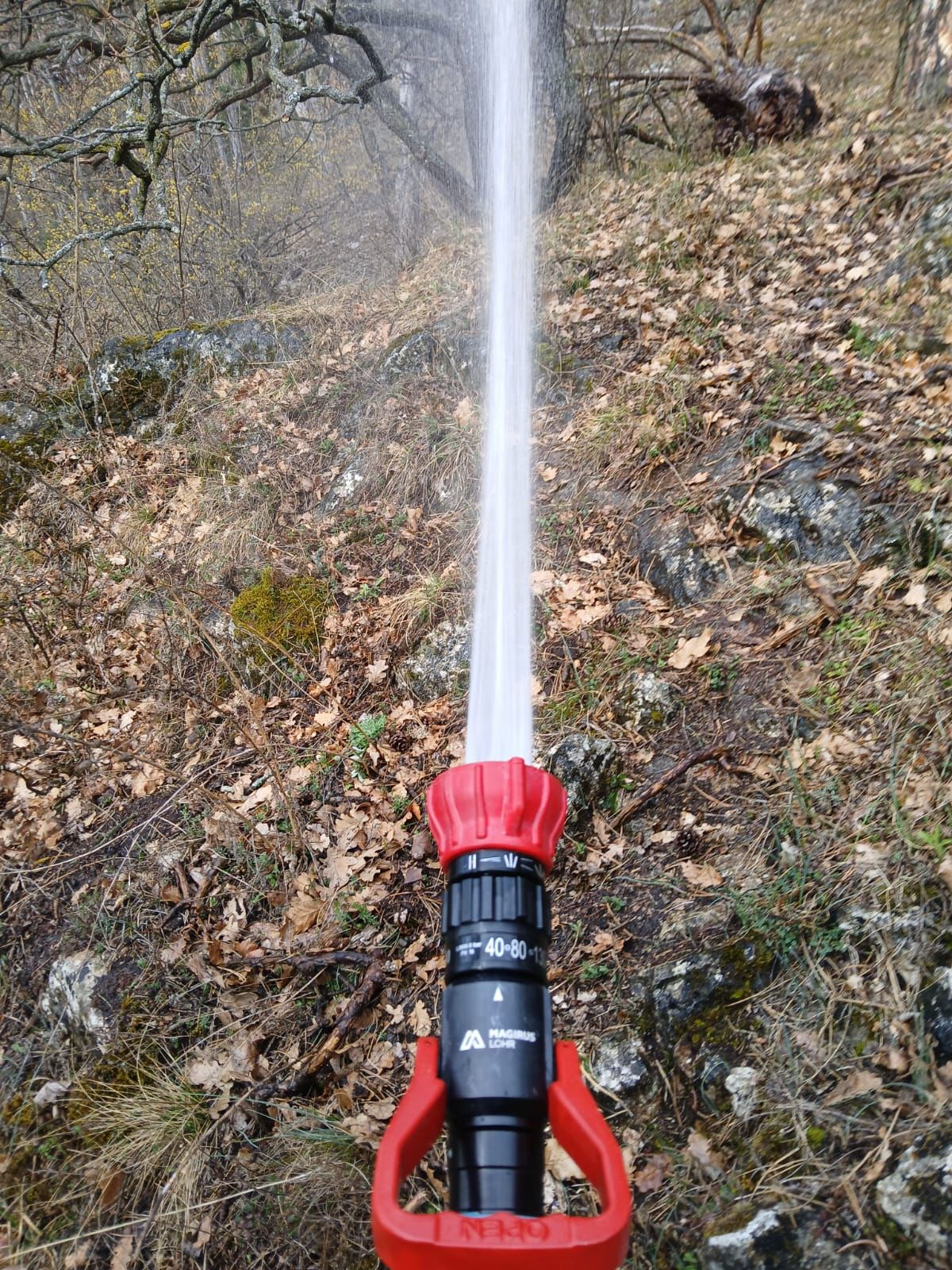 Waldbrandübung in Weikersdorf