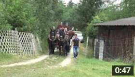 20130706 Einfahrt alte Feuerwehrspritze