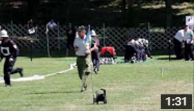 20160701 WKG Frohsdorf 1 beim LFLB in Zistersdorf Bronze